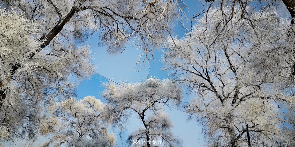 YjJvaNpABoY8Q28JjWH_ampSYYtF1zoqeRw15E3tRCC9mOanhtbSDsl67tZFY-M0