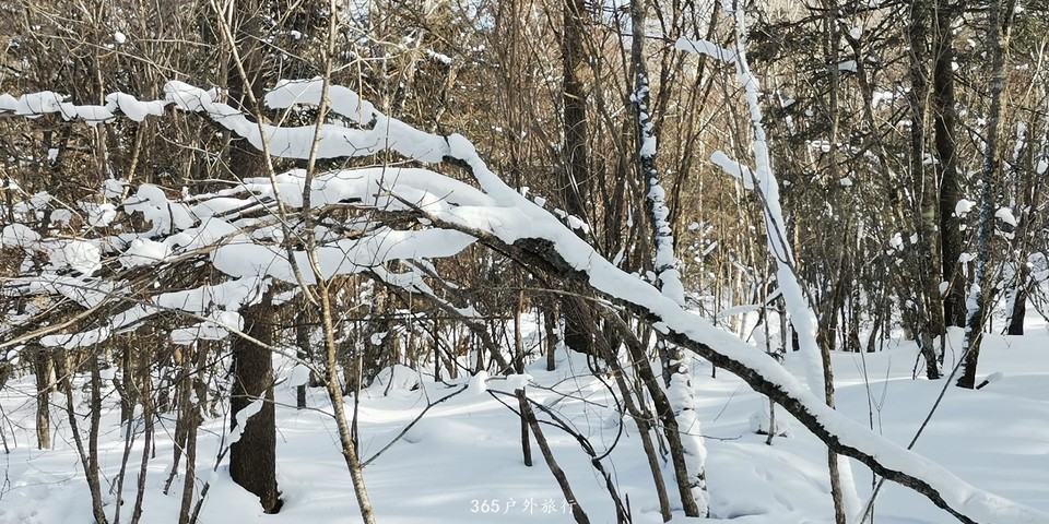 TZILs1tWoIZxORtUzLjDhQrgFehiveElUfM4d_6XWbp3Lq-sSi2Xua4tY6JNO5wa