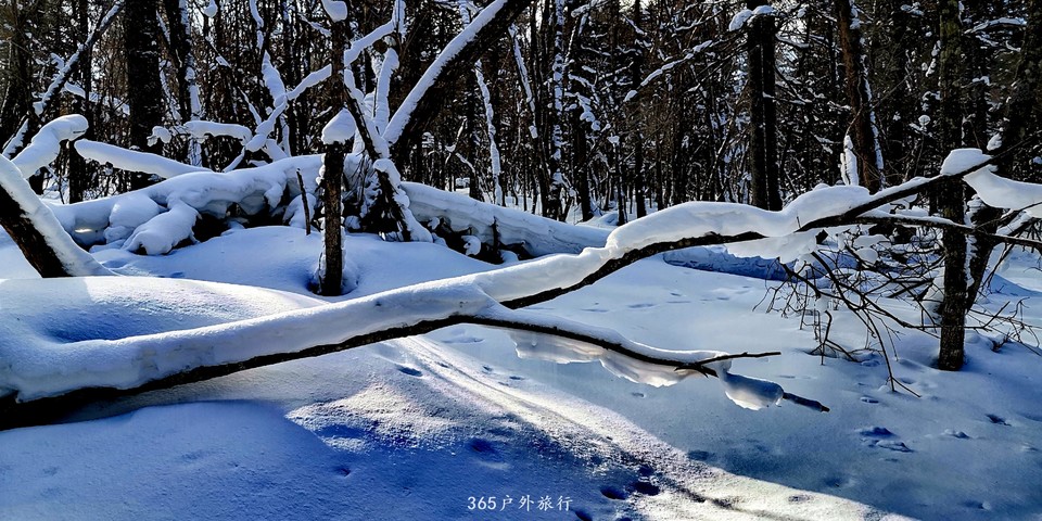 6kCrQSep3jf9XHR85Vp2d3JZPK1xqibQW6JEMAXpCoRG-LTPXGv2Zy76B5pGhEeo