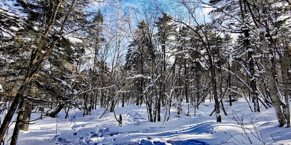 GDXxjD-Ot6ORhTn626YRykv9cZYh1A5ARkq1MDbzmhQP39LThvc_snM67JzGO-Jx