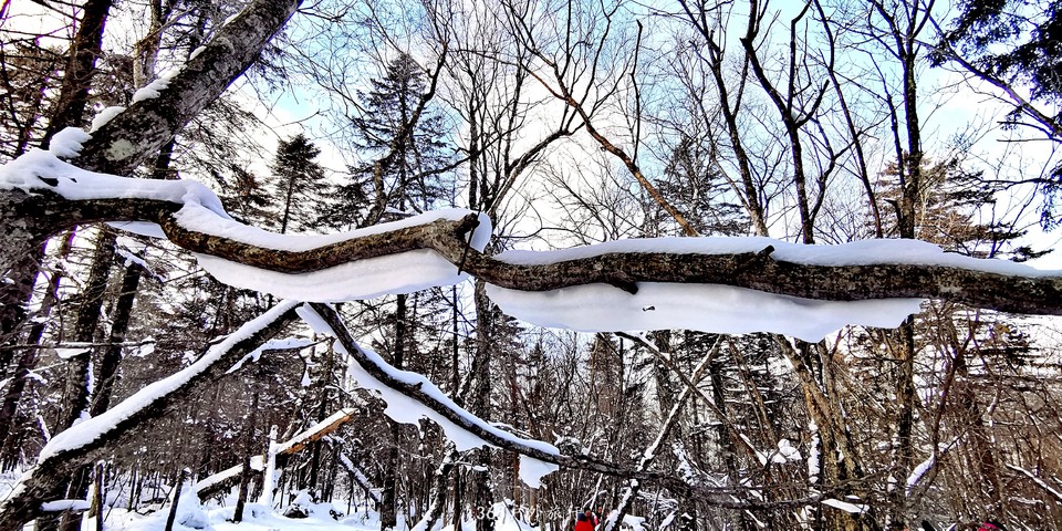 69HM1jR7suu1IVwVUemQiOCvvPdoc6AUzLL44QEuxC5zbKOo3dVduk8kGGkeNcqM