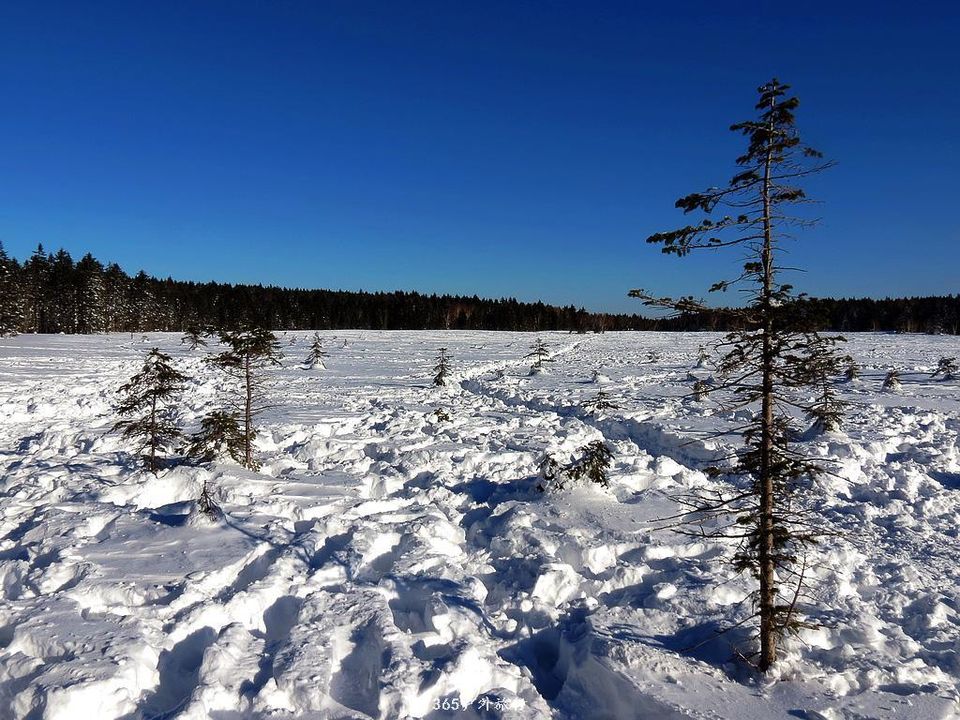 Nf7Mr-SfpGhv20lQXT0zB7EmcRsM-dXa0gjScPQdYY2Pfdo8Mxf3tEQc_VhPK7RE