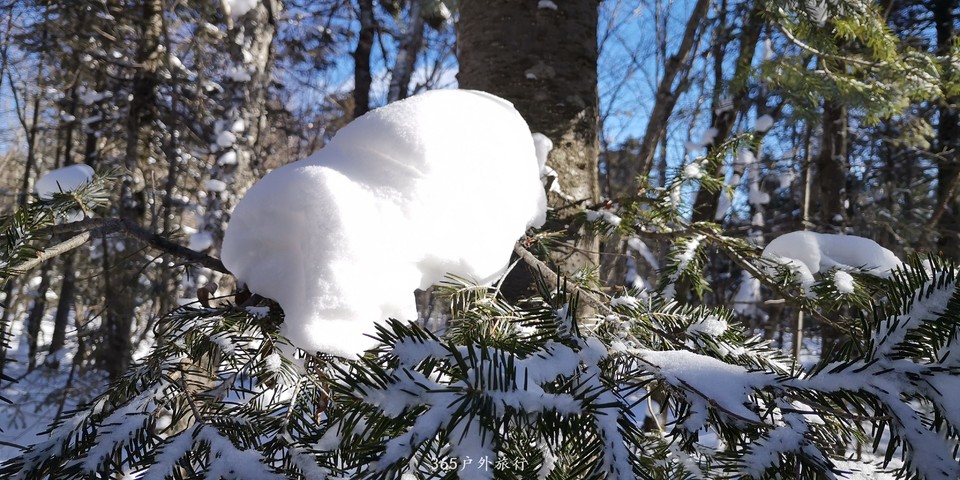 vUUdNeyqb--0u8s3eZbxmZF_fRZdujMf-53S01_r_jkPb2hzh9GRDtTWuL3Q1eGw