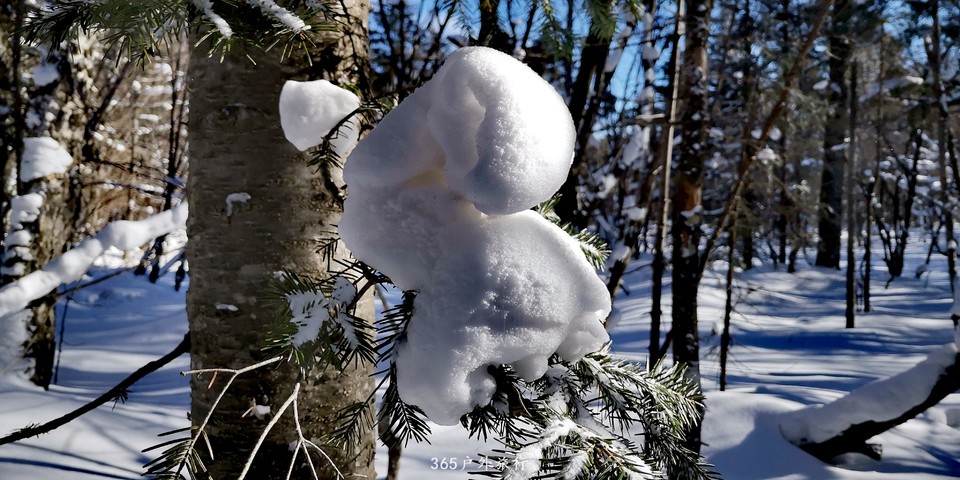 iOx97_BQJc01RXH1gcEIS7EevT74AebjDY0kmvFzOtVwMeJZ8s0rY5bqwlGKwQv-