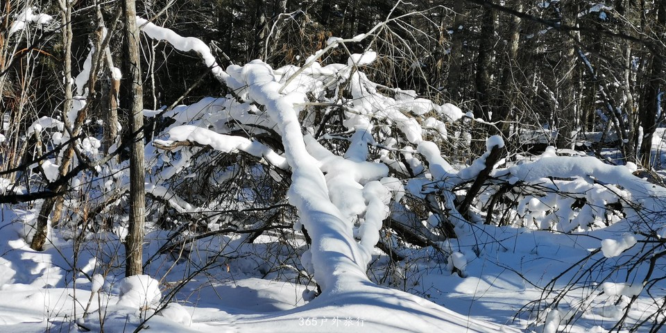 WsQKBR40KXK2vFJH_FLLykyYxf9jm7oTWDJRaKjQgZs1icurUPL0hXrmd08oycIf