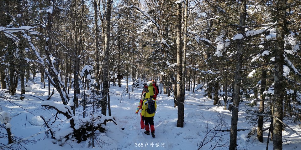 dQeNJS3uf6GY_EeU-BdjsI6NHnFMSa9FJN7hoLO5HYDSD7pstRBdCis_3ZTGSYPi