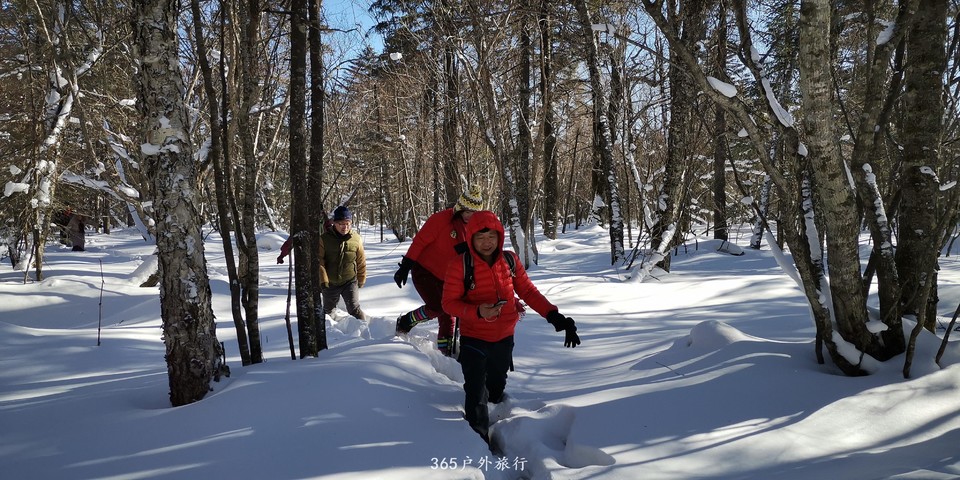 CSazsDj6KFsHtuLHF79cS7IJEFrg6L35bH2Iop4nVTElS7VlFd59RIc4BaPp1Eg-