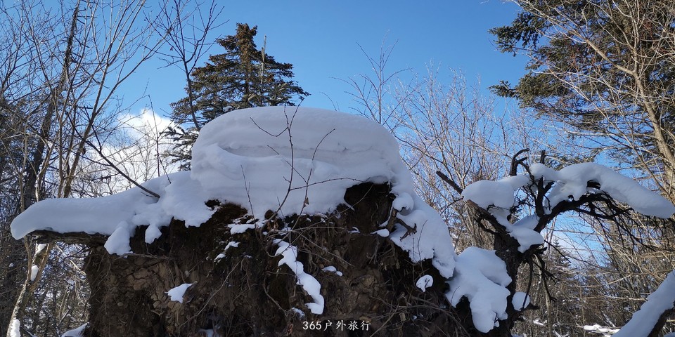 MpZbmBHRyyyekD2nhqLwoLS_Z1eClNw8N1lI0_ON27pOH1Akn0cmDswZYBdSI1oJ