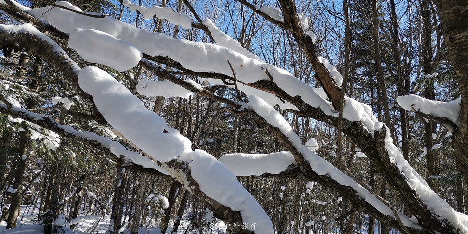 62Y5LQai7Em8wLqzYg3DztIcnal2nwiZCEbvKaNtCOS68cvSvbFxhxY0N0oHv_BK