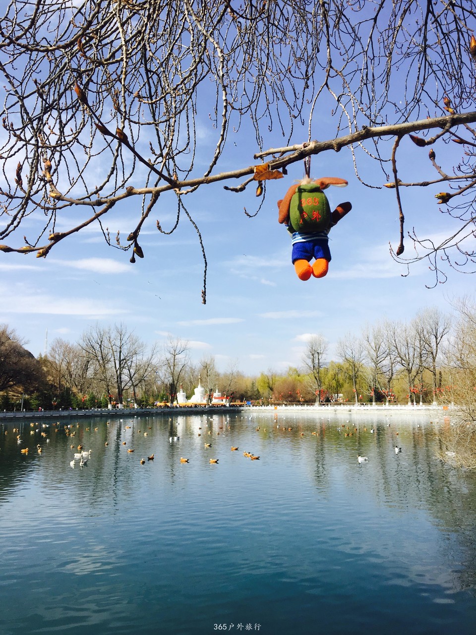 E_ZOOHO7k07QH4TlehiILx_875CpPj59J42UZVrP1RgEzdRfNESMGQw58Y3Q5QZm