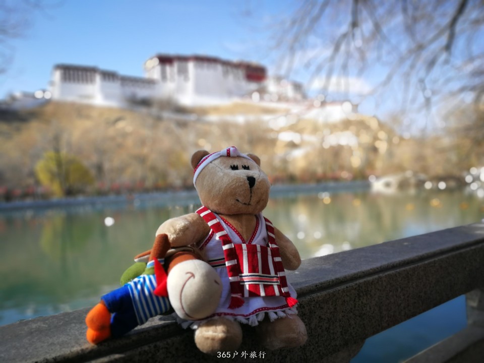 MXtJlUFvnbGYr5WXE5V3wtZS_ZkDRRhaw4JfLxN4NOE3Sd09Qa3yWtOVoDwqRYoV