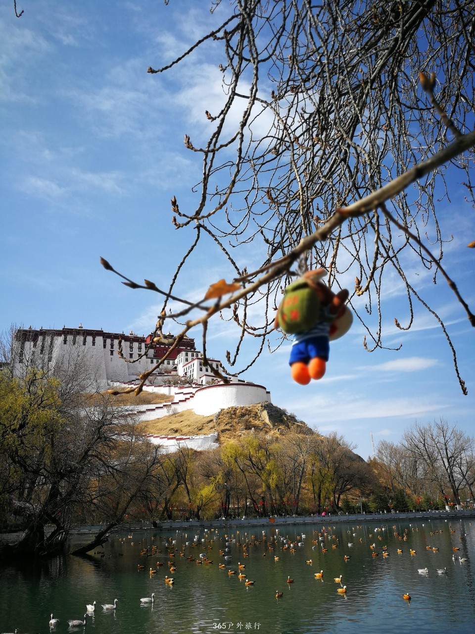 uzWIdOqXRNmRyrl-WgcO4um7Z928TlNIHCQ6u1w2UCBfKwkSEChvirqjvpOYwbaQ