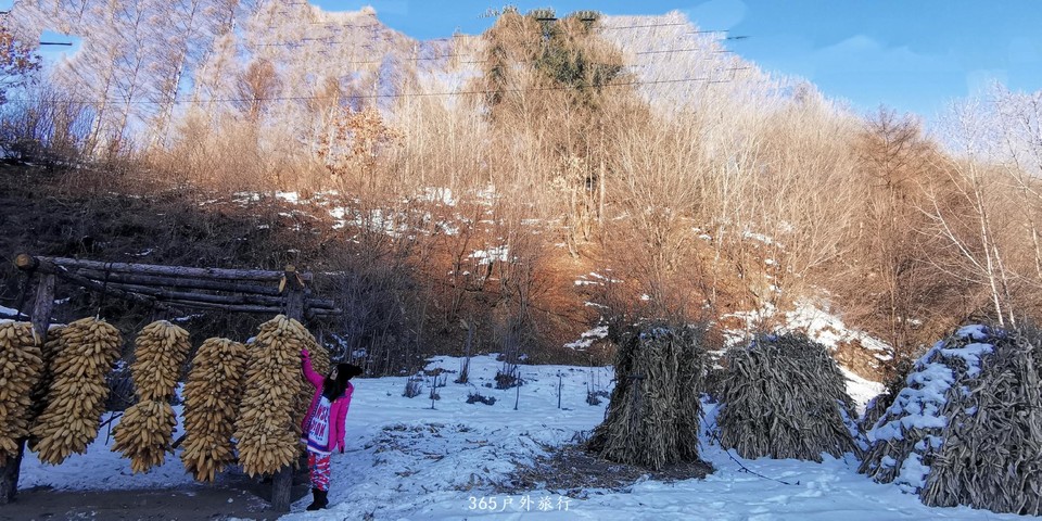 TQF09BdXl29qa8LmPucpeOai9eIZV9bZhVzDv3j2VEUMr1i7ThaPPsN8mhd5uRGP