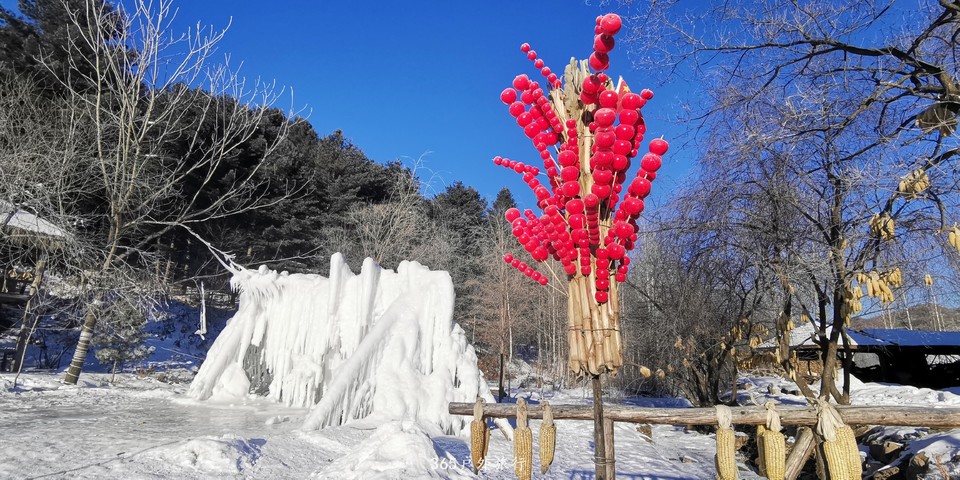 aIAXCiuhaQngSzW6H8sNj58tJuRttfYpgGjeevsXPeUH7-Lm73mrvzvbkuTLBu7e