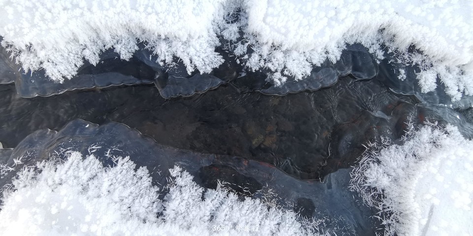 NdWQQ9rRUdfNN7eJKku1s-lXuh_KOckKlh51RZ1_nuR6ouI1NruYnPxn95G5bKqf