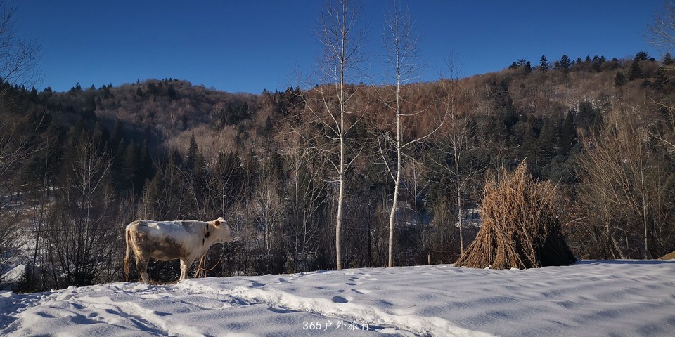 SDJfLFa8ETn1AbvpCZlpjsHM152aWYeggVFAYgQzq-7JnwKhFo5sBEY140DdUe7a