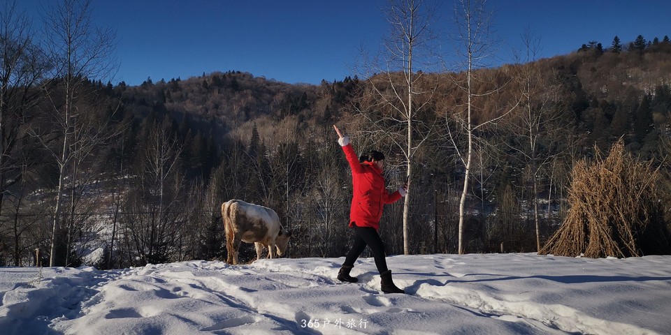 Ouzxswqu_VJz4Dfp4d-BKIsb3JElzI09HnYM28NnKyZIBO8hfHB5y5SYam6uSy1A