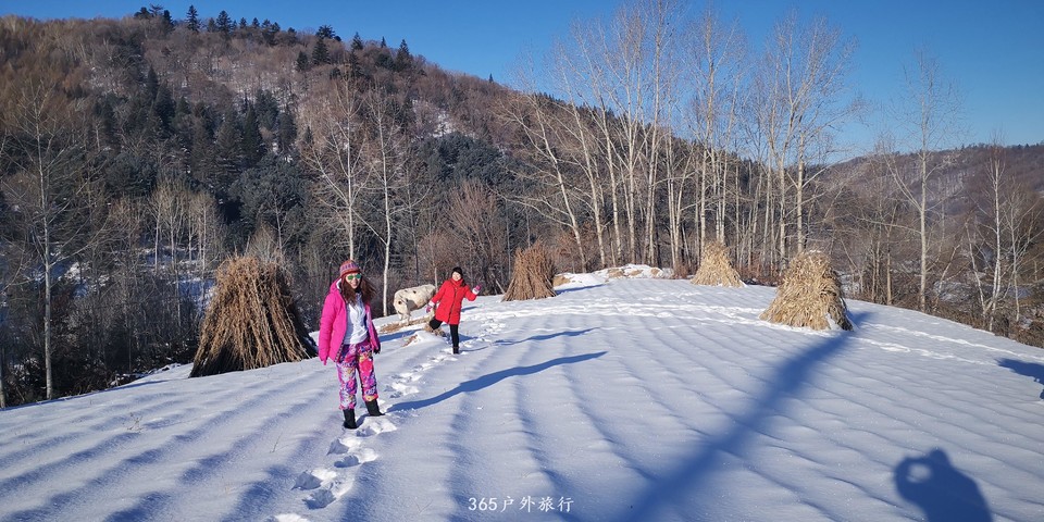 Zx1DpidLes7rQYLPWEvYHzOCQ33yT77efUy3JtzQwr_whRIU33nFeB8n1TT7erRp