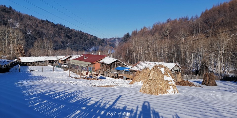 g6Vt-M_yO2TRSUMXXbneSOdLYUnY7KG5DbEmOnT2cBeRF2d8G9yV7aeue76musnH