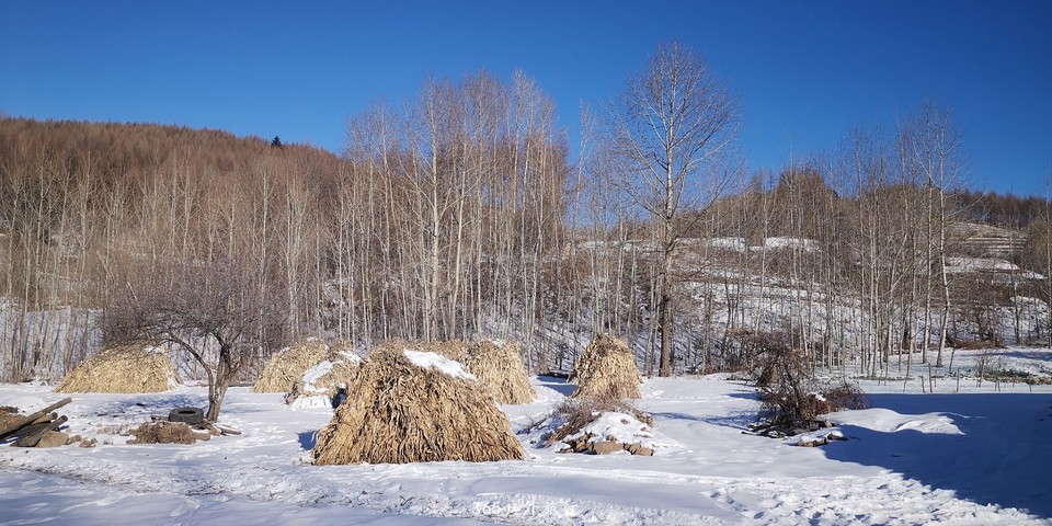 93_Ng-JHuAbjgAWfIT6FNglCaWwEubdSjbTN1-H8hR05w2uOPnLREpIia7QtZYxT