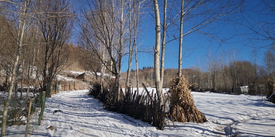 DtPG8XRS0vOsunDnsNW6XeRBYAcR1buyw84mdCAJTZD4_CBYVBU2F9PX7KbOv5Y0