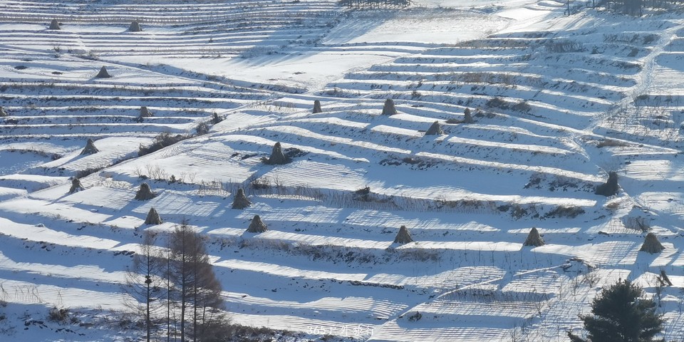 n4Hw9jTy9yHYoE2WWZmlWL4udOTWuwmwWJmNZwwzDcHM92hu-0LVWbXVY0lu7OUC