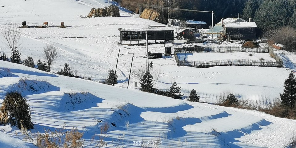 hUURdL5ORYmR0XyEDRvpw5V7GvBRaVLOrf0Af4ktWDYV5ySmzSLoQ8hKLMz4vuDA