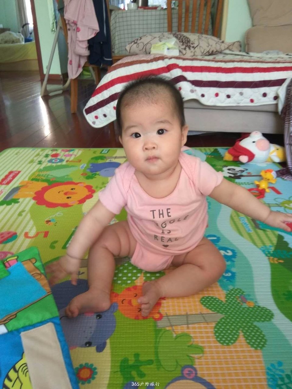 mmexport1548401244974