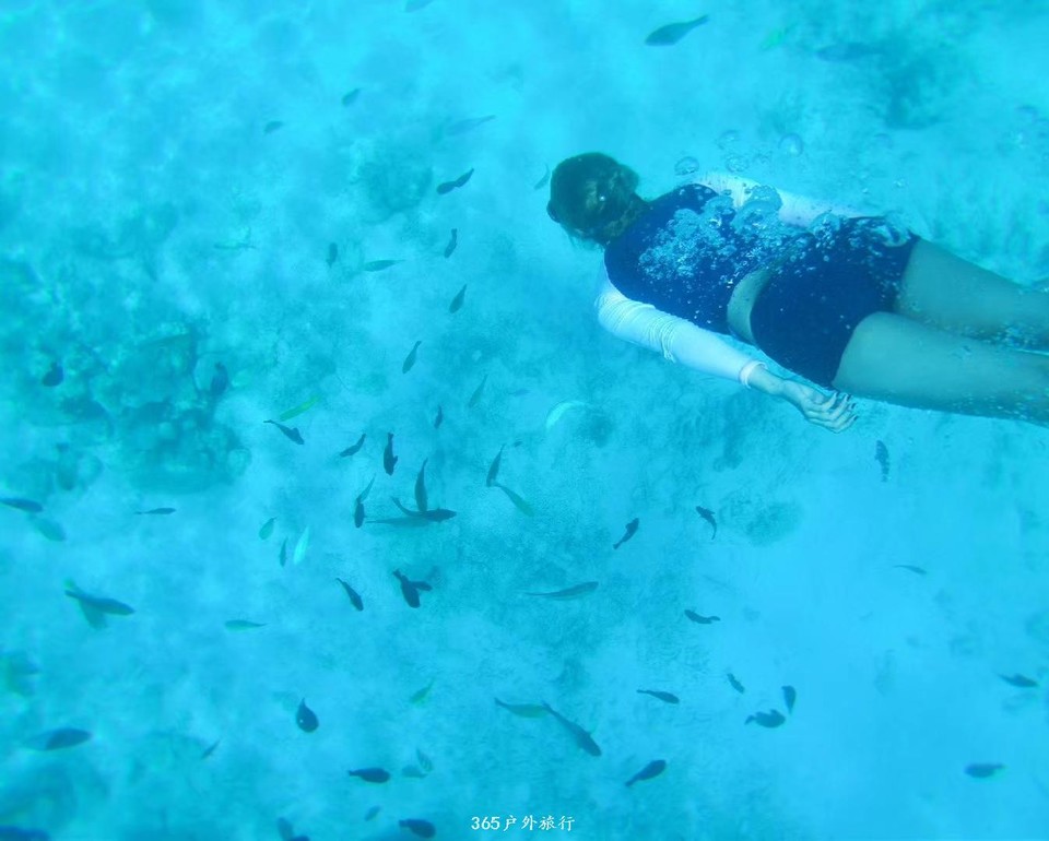 PPvIOIgpAV0QQsqVnPLGPOEyndDWS-10JrfcE9v6o1w1fJNBdJ7sI4gQN7ak3sBX