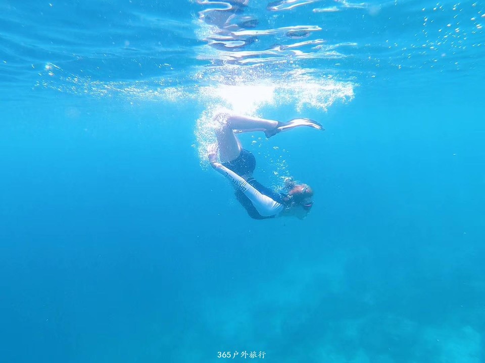 SnFMUPtPl5JQR50qMRblpaLLJ6B7YuJcNANJtlSeqSYyUJPS3Acu994ZhLqqLlDM