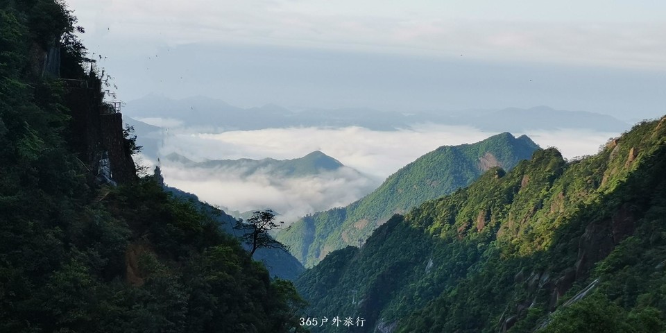 IMG_20190516_064258_mh1557960297073