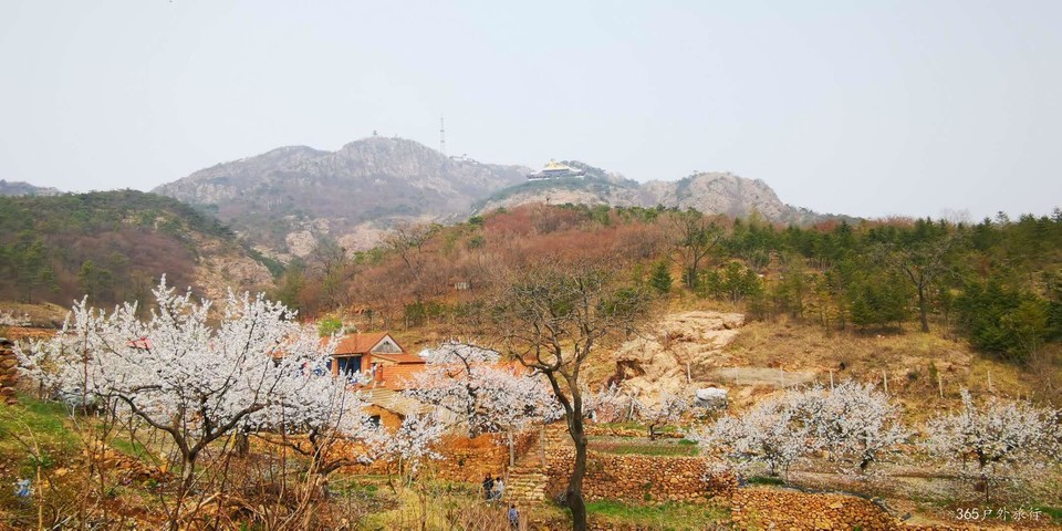 Vcl21dBzQhJrTfD5kuFfEUdW16rhk6MCXypWAgO90gEv50AaxKTXd62D7tQ9v7R-