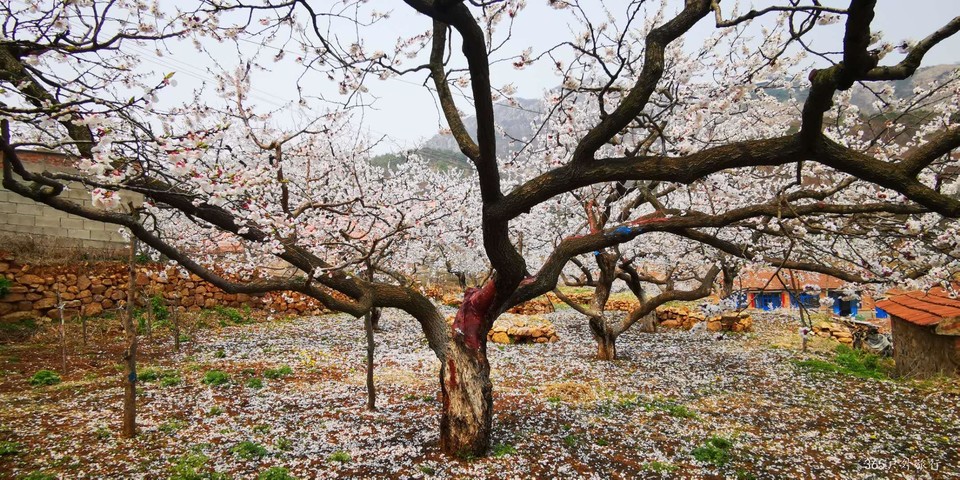 i6gZg4P2OZLjKqWwKQYTFGLjosyu8nt06gnNMzNe3HAMBZl9T20zImeBSvG41RXz