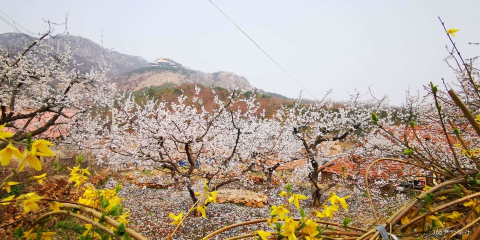 1QTgK5Nbziw2mMZ-KiVEDBUDs9-Dg1jqnDpwBQ-vbG1TuwvyFmb3-g5LeaLh4jks