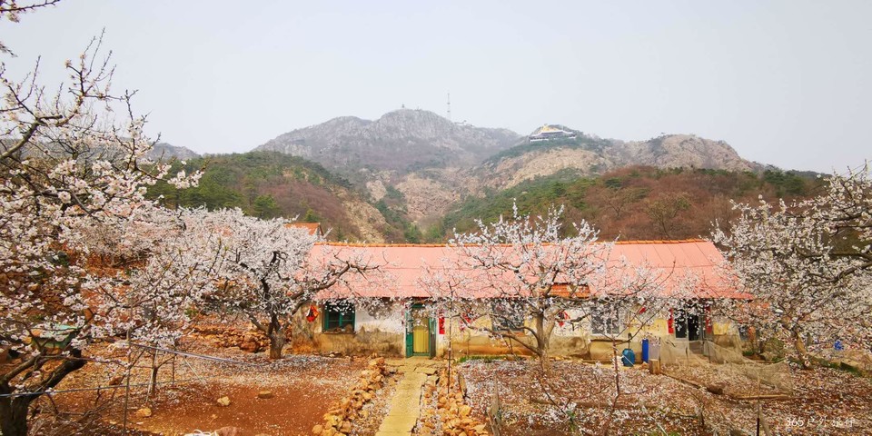 E5rQb5F313QVvOGF5KbaKiS9DItAnATOcVftMB7FdhqPp9L3JV9TMRfj59ABVN4i