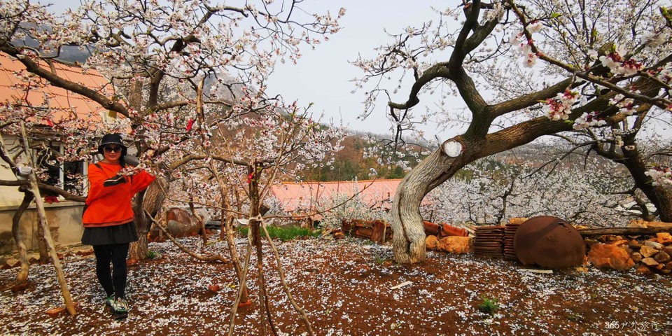 lcJvhw6cTO5fo-NcJTVrzECfs1JUk9iopnasFqmFLmPQZE7yR7fZ3wV0WTdSjLDv