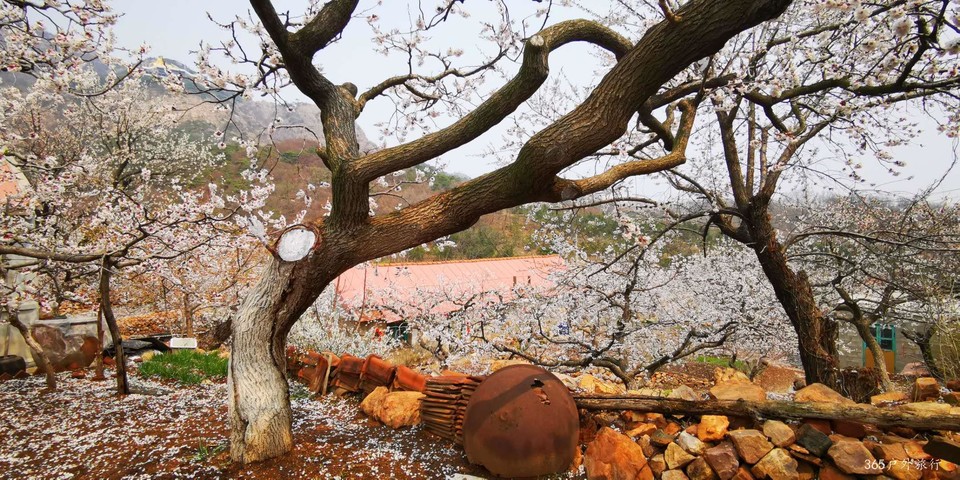 h9HfJ9kgI2CIaJrb-dUnxb5ARelazpWmCWTk8C2Vy6OmA-2Htz14tTb2iArxCDCM