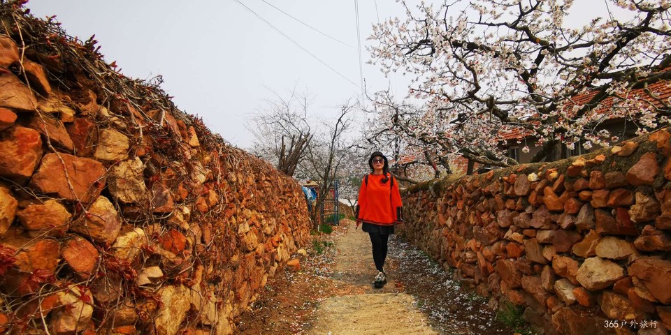 QqeU0rlVFAjwq-JgRsB1fSW4JoCrtoe2ovvlm_0Mpk1fuup41gw4Bc5yrJQHch7K