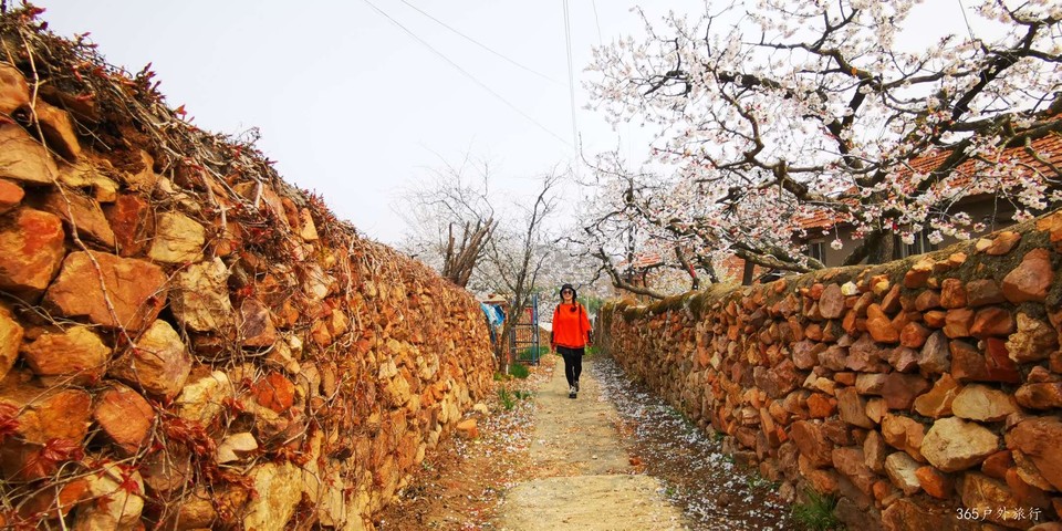 PjPVyeXvL21gT_cGOtngnbj9ZgMyoBPVJ3G3LAIiLVFYJ1-q9nFRCjFwdAGB29Z_