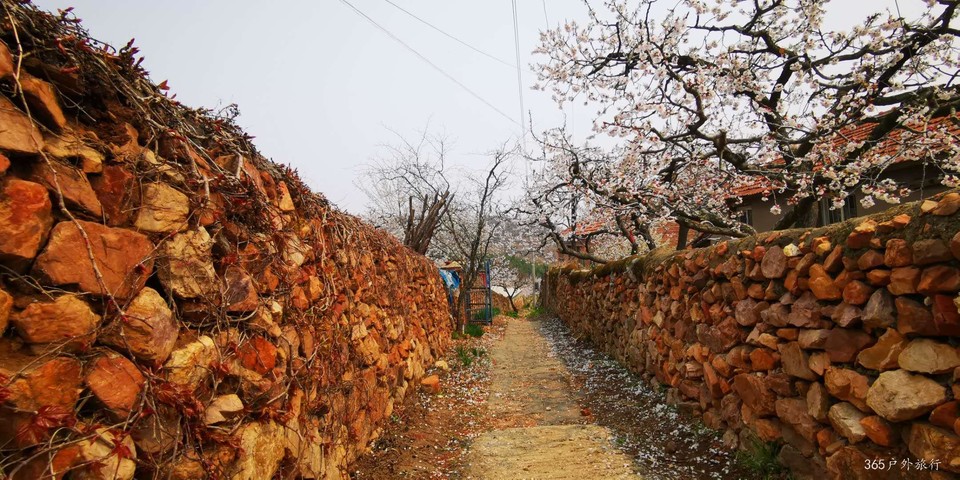 gLOcHL_EjNEy5KyaYEPrVWzPalacIUnVih0aAJDAWJhZJhdKerjBaqJJ2wSIhXIK