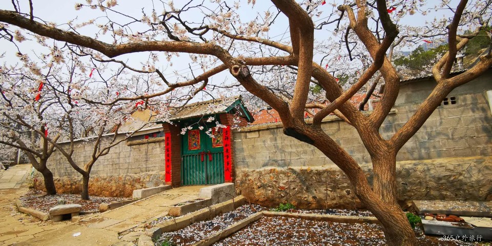 gl9qmdIvIL_Ju2AIvfx3qqZwb06eSts7sUedFDwyl5oEABnTJY4zlvJwXlzGt2aU