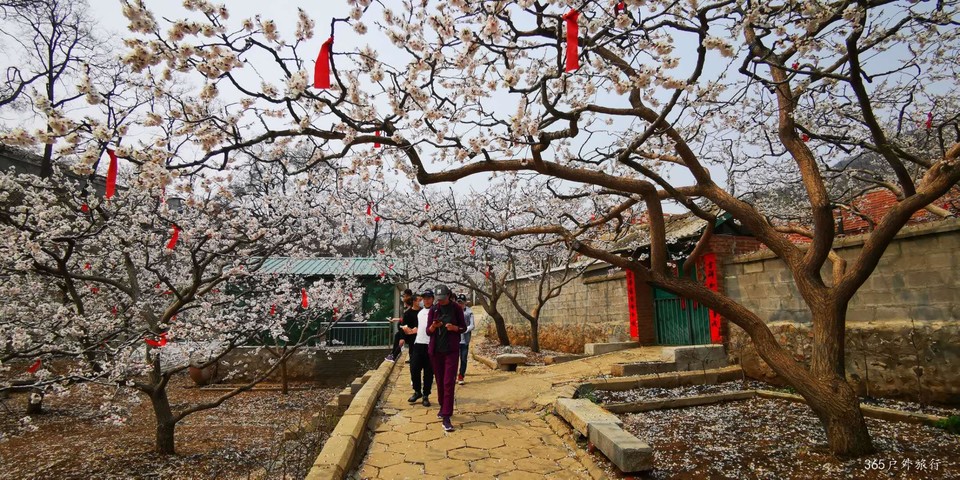 oWtH-nv5umjXSMKWTk_J2Dtv7zmIaee2j5WoE2FCt4M0PWFVTIudtUl863Jn0tSi