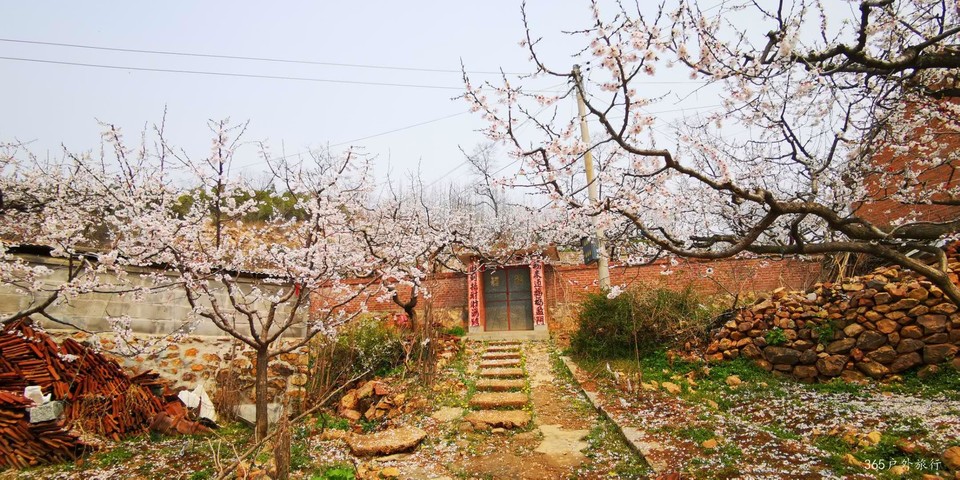 LJoaYE_3oedVz6toFvL35ixN8wUtfbxl0foaeM0ouV-5EE_dVl4fn4F0NnfuKk5N