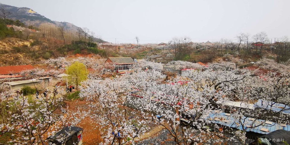 r_zk6v7CTkf-kzIwP_T6pk9GzeFk3lrUto-GlEQceZkPOK9ZxJLlFAaaOi8Dexji