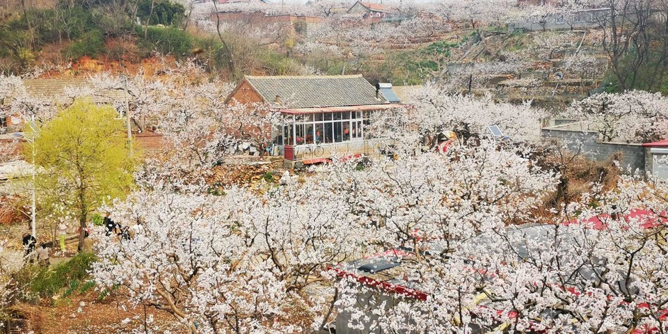 KZ1vvhT-bvvFbJ3fmsbIm1UV2dq8wTHmU8YMAvT1fyPmDNXssWPP_MD_p7592Kb_