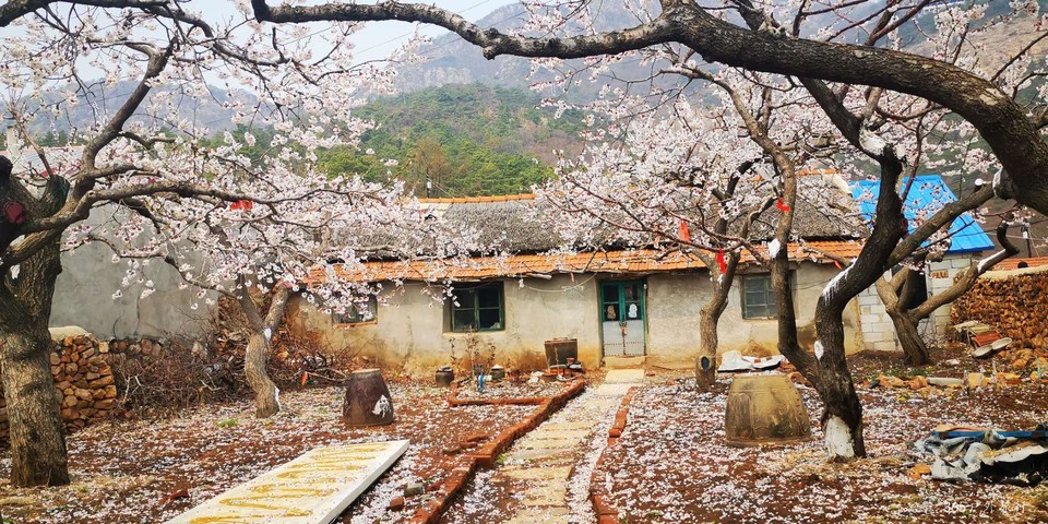 SIMIu0G8YGPO6R1D-jnZKtzv2LH3ecqdafEp2KiZzwRE45-w6n0_Lxn4Gx0IVVD6