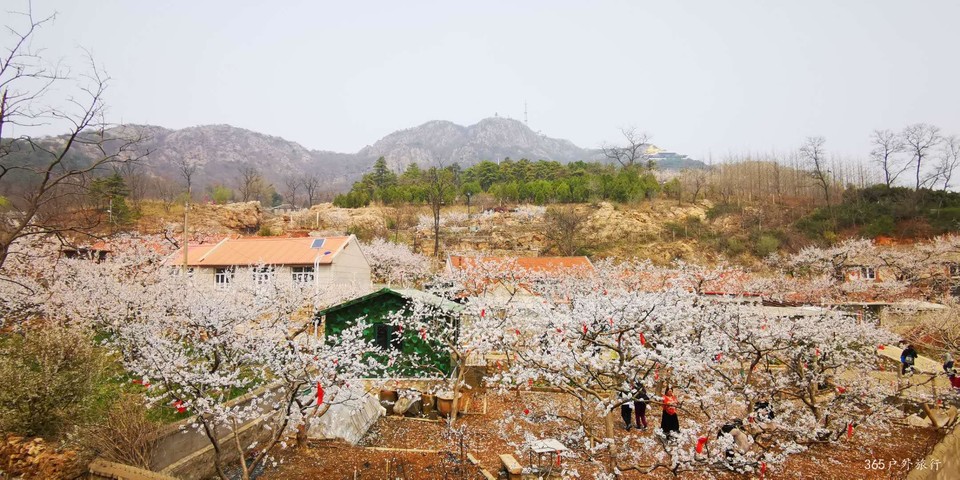 aoj4iIk6INpchZsNx_870iihrTOsk6lsRyGbAr6J-Ncbb0_ATpw8AxfFBNI1QSLj