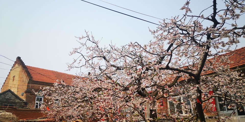 C4Ozug5bzMu1dhnFDkFIedELedy7Q9YXvzARd-t0EoMn2iJqKHHQPzEpfe5lgiw_