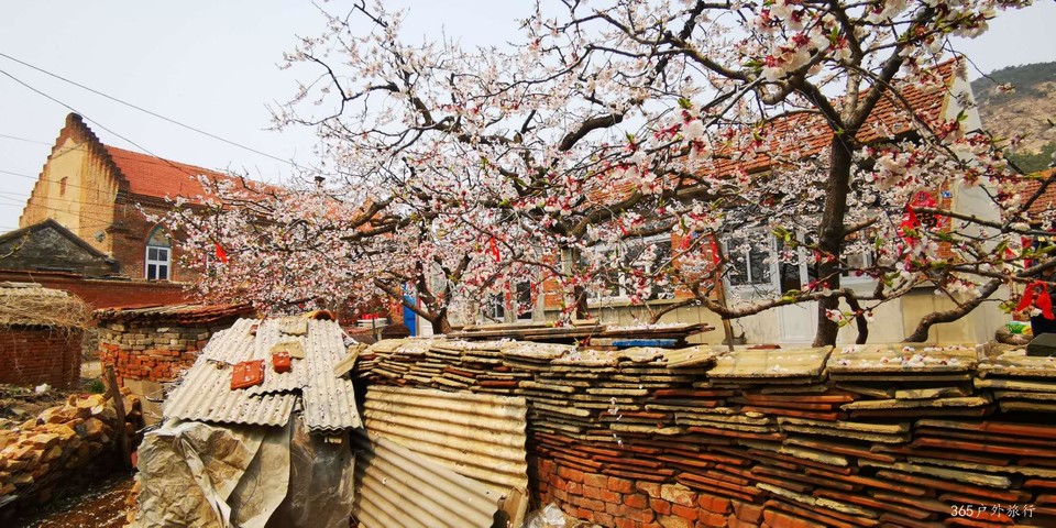 ZRnal5nvFBWzq3jiChCEdj2vvAzP1o92H0Ad8DELru_6pOHr-RdZtN_BjlV6CMnD