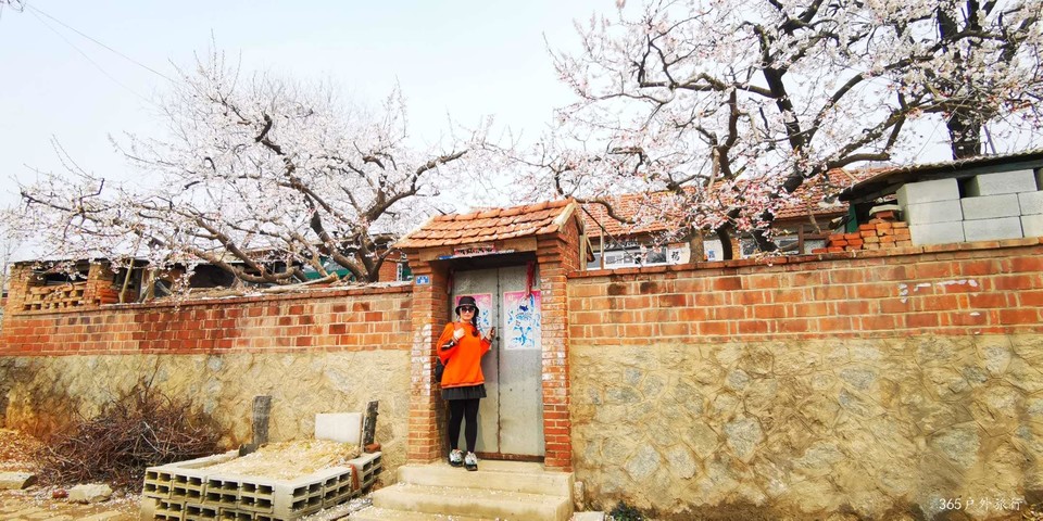 fXlJnIT50BsgX5WGW4ITn95prMlbplLHwfEmfpPMdbdMWk06K8ujmQhuZLEkojvc